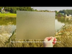 Υπηρεσία κοπής Πολυκαρβονικό LED Φωτοδιαχέτης Φωτογραφίας Με Αντιφλεγμονή