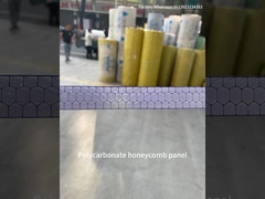 10mm Twinwall UV Blocked Greenhouse Διαφανές φύλλο μελιού από πολυκαρβονικό