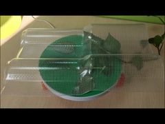 Κεραμίδια κεραμιδών από PET