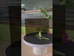 3 mm καφέ στερεό πολυανθρακονικό φύλλο αντι-επιπτώσεις