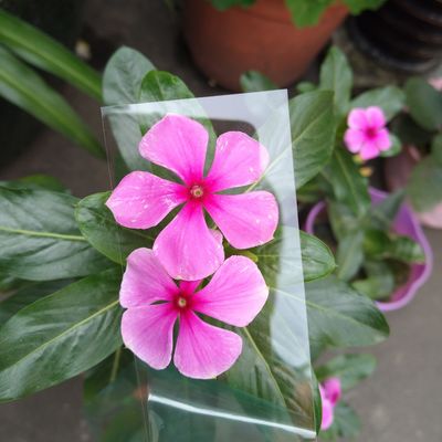 Καλή τιμή. Διαφανής πλακέτα PC κατασκευής πολυκαρβονίου 1 mm για οπτική ή εκτύπωση μονόστρωμα 1 mm σε απευθείας σύνδεση